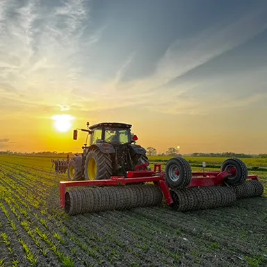 麦踏:1ケグ(13.5ℓ)