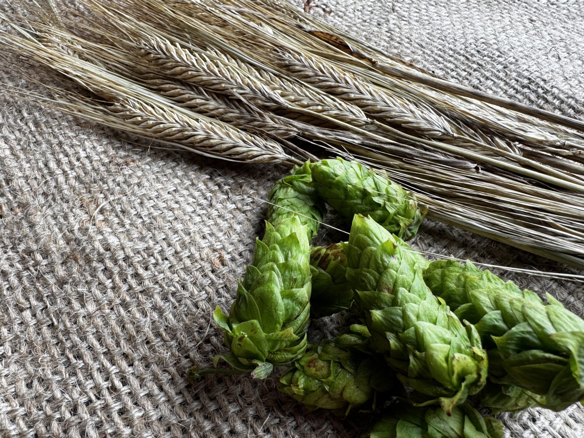 麦踏(330ml瓶):12本セット