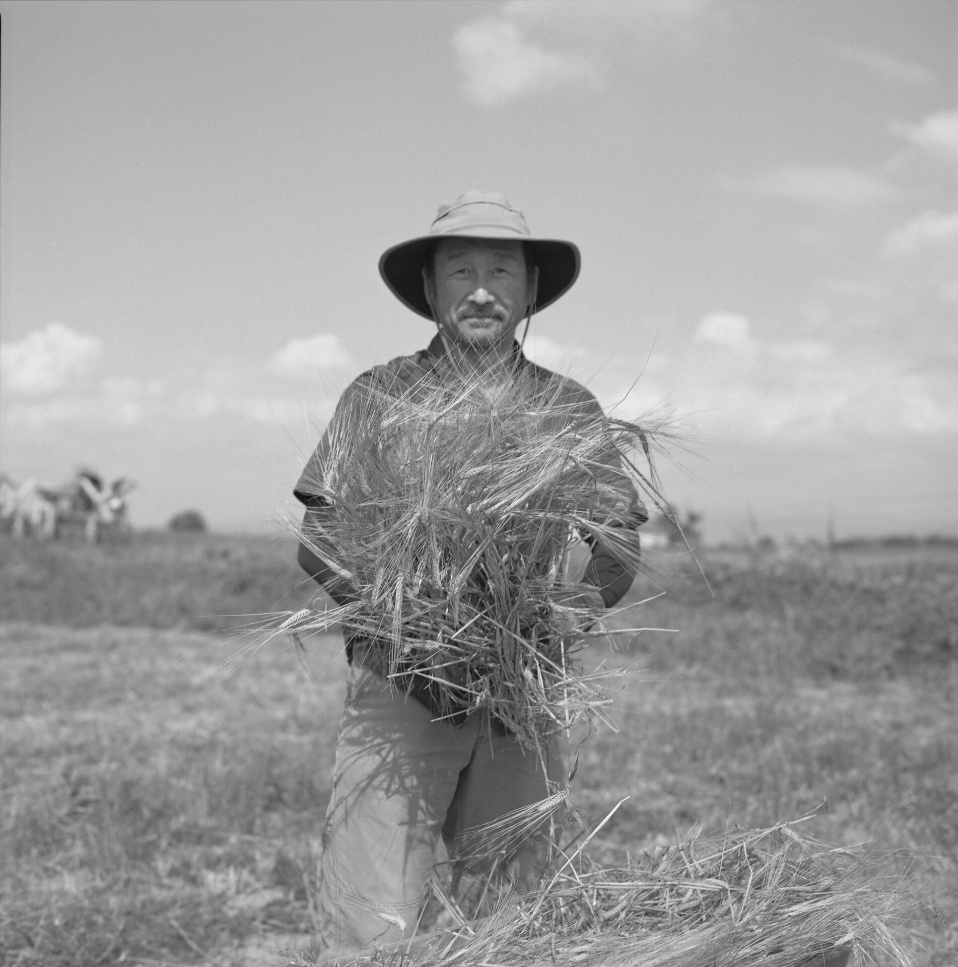 なぜこの思想は、市場では伝わりにくいのか